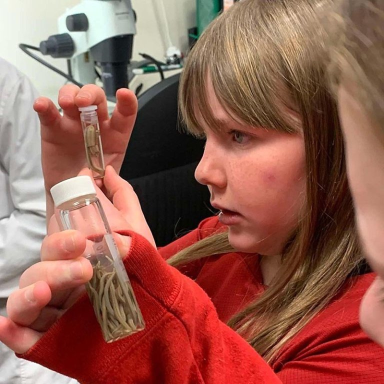 Það er eitt og annað athyglisvert að skoða í BioPol. MYNDIR: HÖFÐASKÓLI.IS