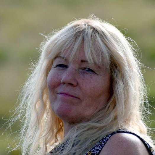 Litið til baka - Áskorendapenninn Birgitta H. Halldórsdóttir A-Hún.