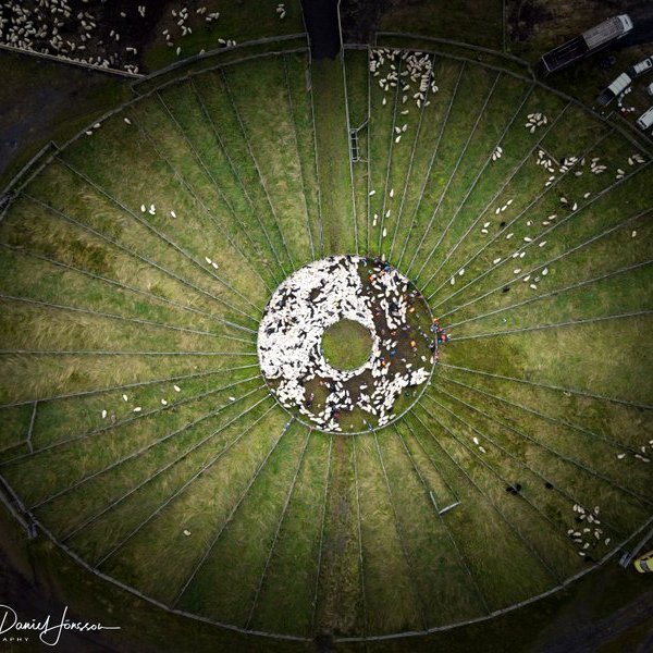 Undirfellsrétt í morgunsárið sunnudaginn 6. september 2020. Mynd: Róbert Daníel Jónsson.