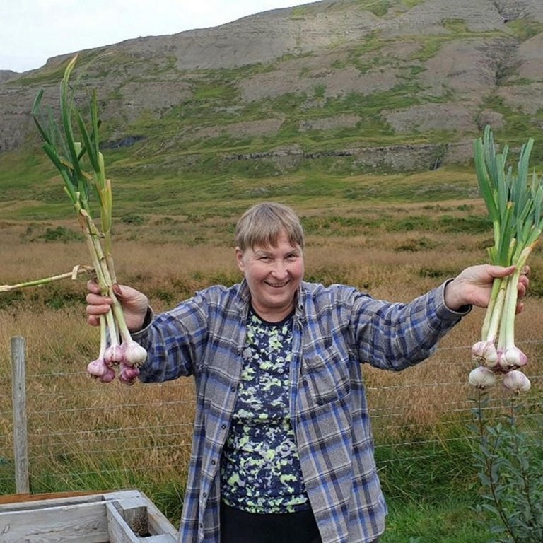 Þórunn með hvítlaukinn sinn. Mynd tekin af mbl.is/aðsend.