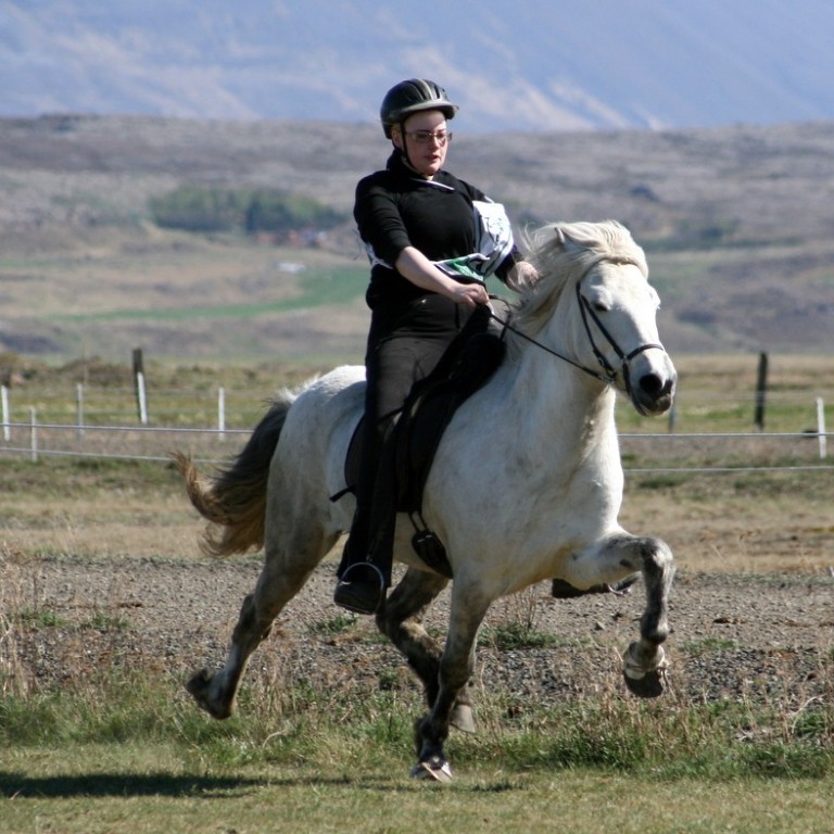 Frá Firmakeppni Léttfeta sem fór fram við Tjarnabæ árið 2012.