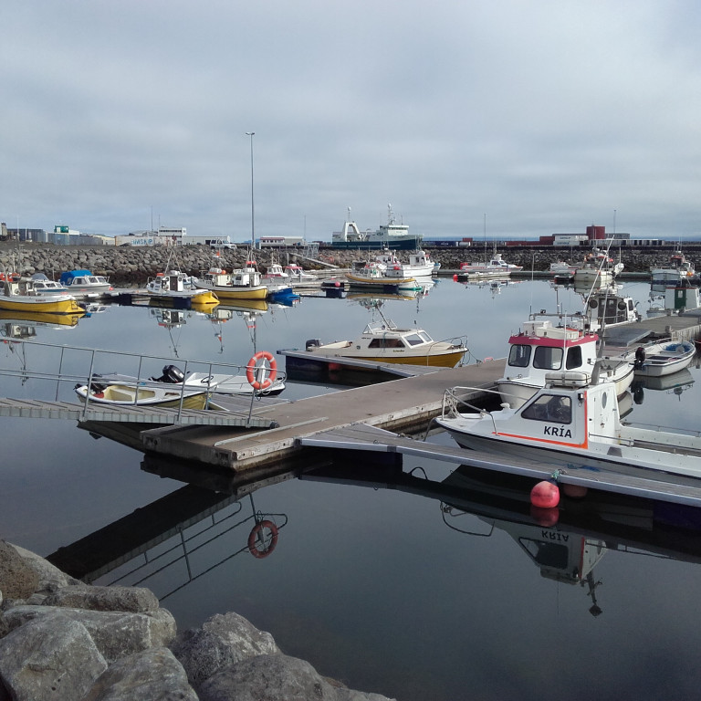 Séð yfir smábátahöfnina á Sauðárkróki. Mynd: PF