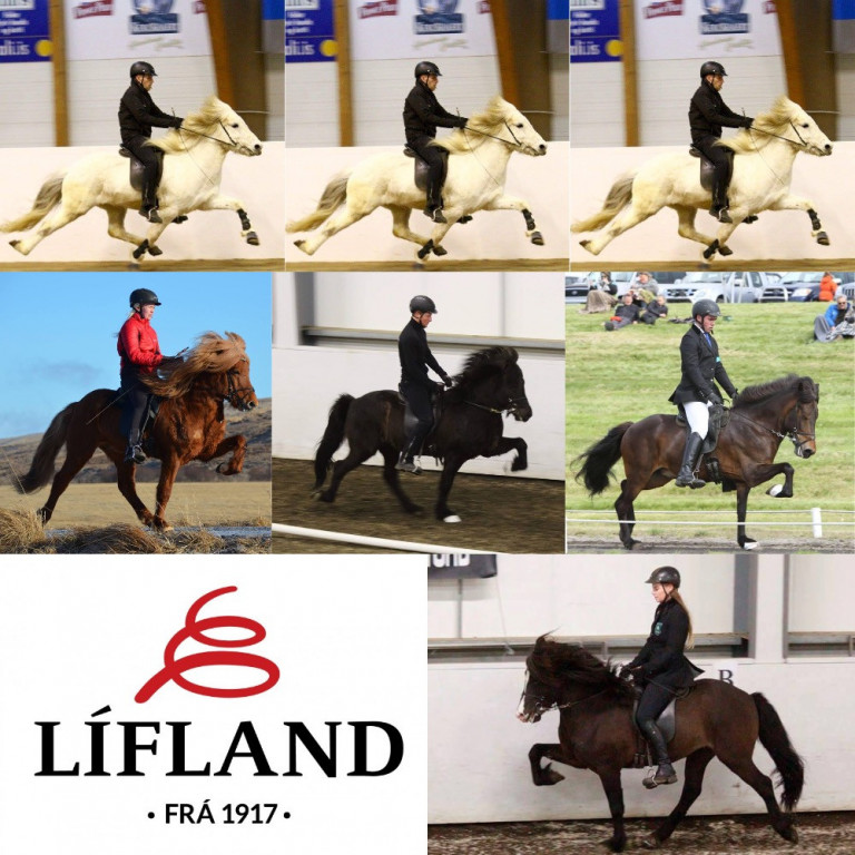 Liðskynning KS deildarinnar - Lífland