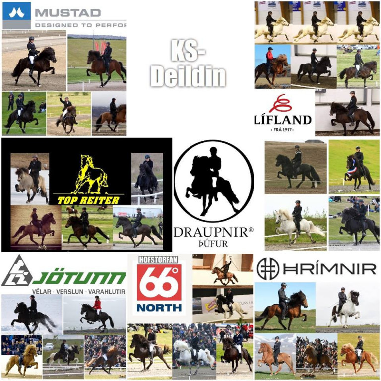 KS deildin í hestaíþróttum hefst í kvöld – konurnar í meirihluta keppenda