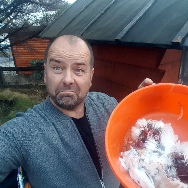 Guðbrandur Ægir búinn að finna rjúpurnar sem hurfu sporlaust úr trénu. Aðsendar myndir.