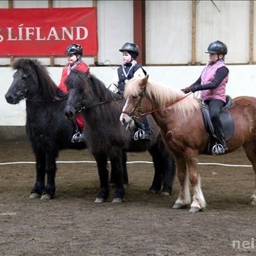 Frá Æskulýðsmóti Neista í mars sl. Mynd: Neisti.net.