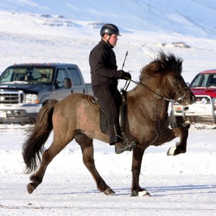 Frá ísmóti. Mynd:landsmot.is