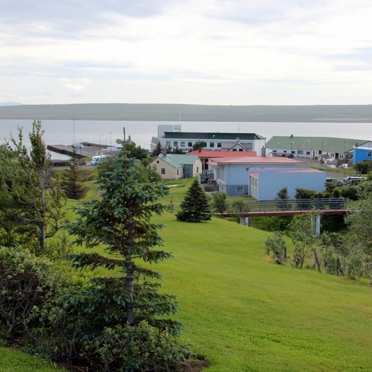 Á Hvammstanga. Mynd:FE