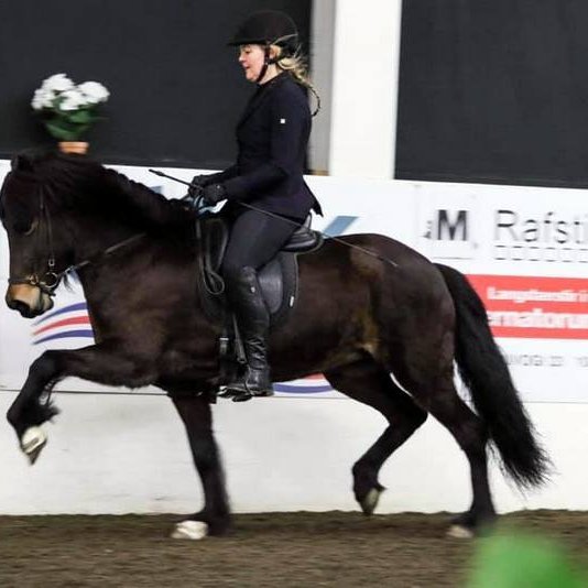 Mynd af FB síðu Meistaradeildar KS.