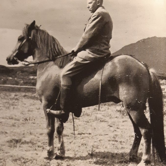 Efsti gæðingurinn á mótinu 1950, Stjarni frá Hólum. Skyldleikaræktaður af Svaðastaðastofni. Knapi Ingólfur Guðmundsson. Ljm. óþekktur, úr bókinni Í morgun ljóman.