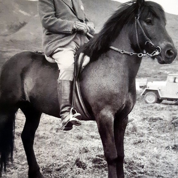 Björn Gunnlaugsson (1884-1965) og Skuggablakkur frá Kolkuósi (1949-1965) á landsmótinu á Skógarhólum 1958. Björn er þá 74 ára og gæðingurinn 9 vetra. Mynd úr bókinni Á Fáki fráum.