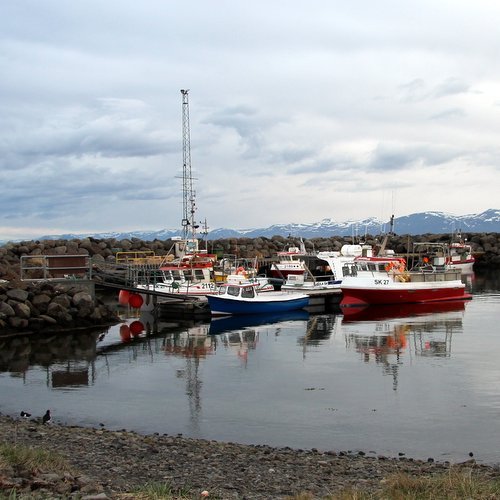 Hofsóshöfn. Mynd:FE