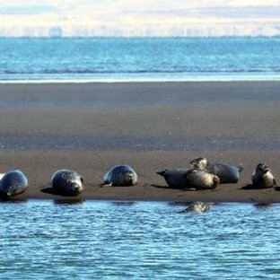 Leitað að nafni á hringveg um Vatnsnes og yfir í Kolugljúfur