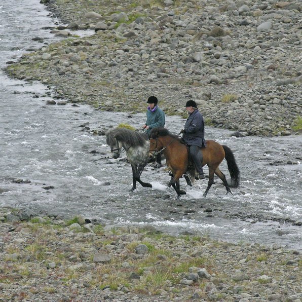 Myndatexti: Anna Bretaprinsessa og Eyjólfur Ísólfsson, tamningameistari og yfirreiðkennari á Hólum, á reið í Hjaltadal í júlí 2002. Anna situr stóðhestinn Töfra frá Selfossi og Eyjólfur Þotu frá Hólum. Anna prinsessa er mikil hestakona og í forystu alþjóðasamtaka hestamennskunnar (FEI) og mætti á vegum samtakanna á 15. landsmót LH og BÍ sem haldið var á Vindheimamelum 2. til 7. júlí. Heimsókn Önnu prinsessu var mikill heiður fyrir hestamennskuna á Íslandi og íslenska hestinn, því ekki aðeins er Anna tignasti gestur sem til landsmóts hefur komið heldur felst mikil viðurkenning í að fulltrúi FEI komi á landsmót. Ljósmynd úr bókinni Íslenski hesturinn sem út kom 2004 á vegum MM og SÍH, ljm.: Anna Fjóla Gísladóttir.