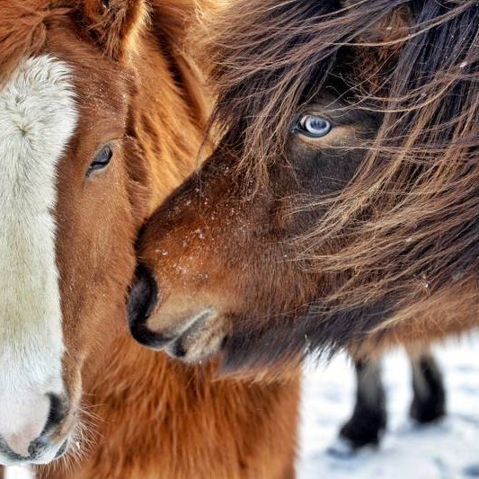 Mynd tekin af stjornarradid.is