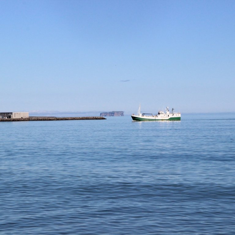 Á leið í land. Mynd: PF.