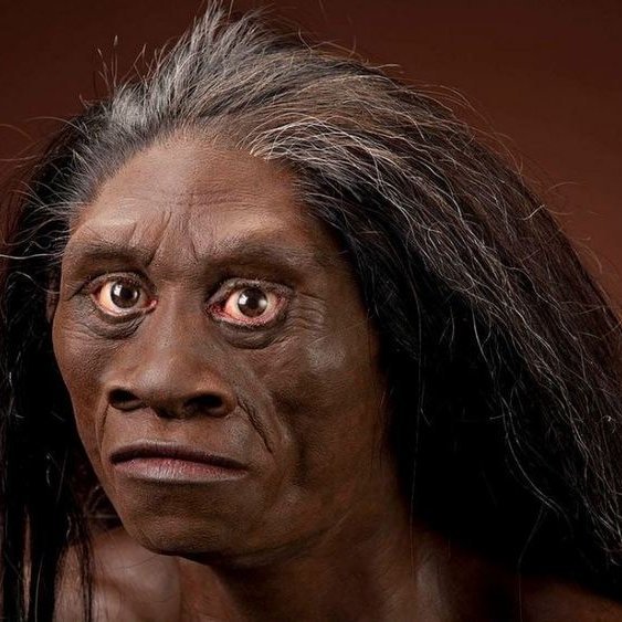 Erfðafræði og steingervingar sýna að Homo sapiens varð eina eftirlifandi mannkynstegundin, segir á Smithsonian Magazine þar sem myndin er fengin.