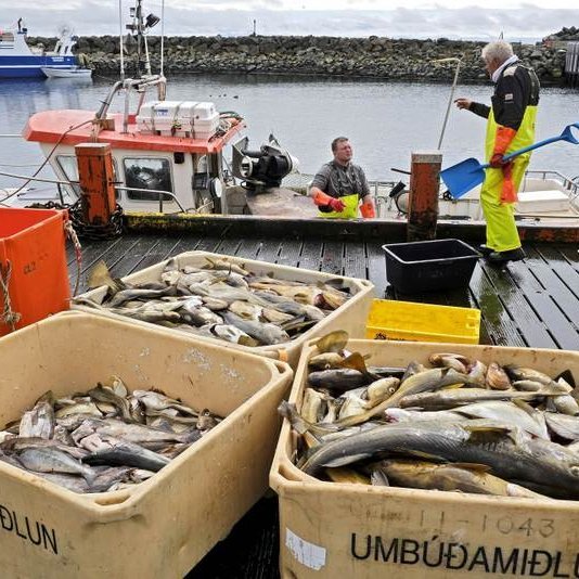 Mynd af stjornarradid.is/Golli