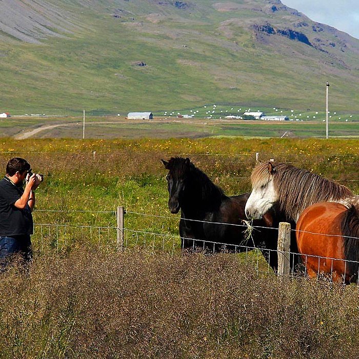 Ferðamenn njóta nálægðarinnar við hesta í náttúru Norðurlands vestra. MYND: ÓAB