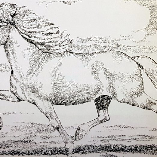 Teikning af Stíganda eftir Halldór Pétursson, sem Hestamannafélagið Léttfeti gaf Hestamannafélaginu Stíganda í afmælisgjöf 1975.