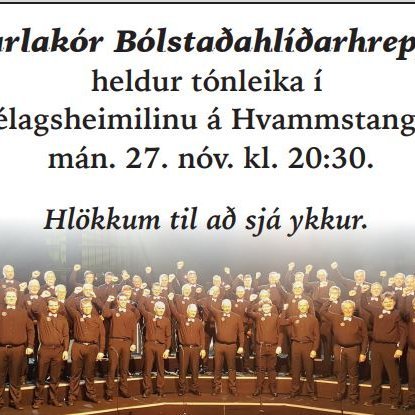 Auglýsing sem birtist í Sjónhorninu tbl. 45.