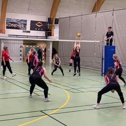 Kræjurnar á Íslandsmótinu á Húsavík. Mynd tekin af Ósk Bjarnadóttur.