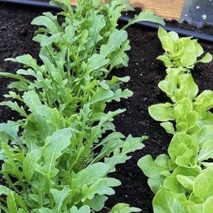 Myndir teknar af heimasíðu Sveitarfélagsins.