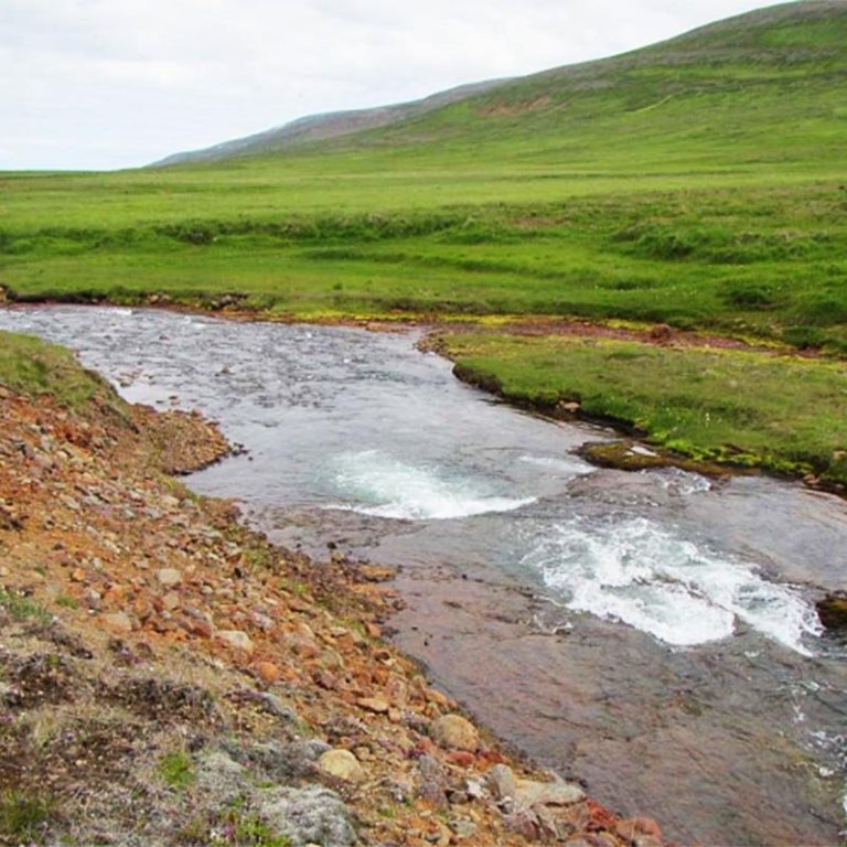 Frá Víðidalstunguheiði. MYND AF VEF HÚNAÞINGS VESTRA