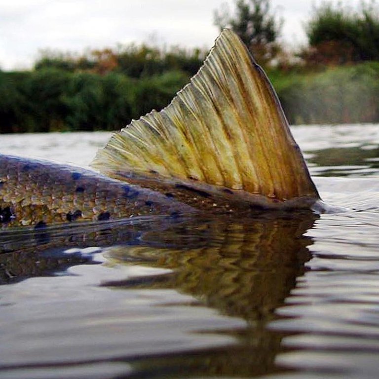 Laxveiði er að margir telja list. MYND: SÖP