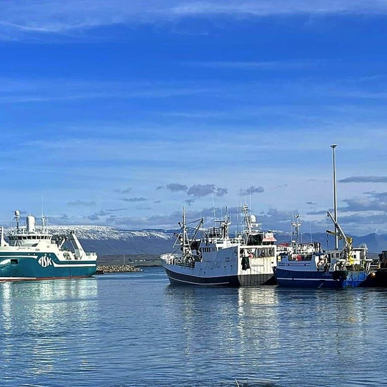 Frá Sauðárkrókshöfn í dag. MYND: SKAGAFJARÐARHAFNIR