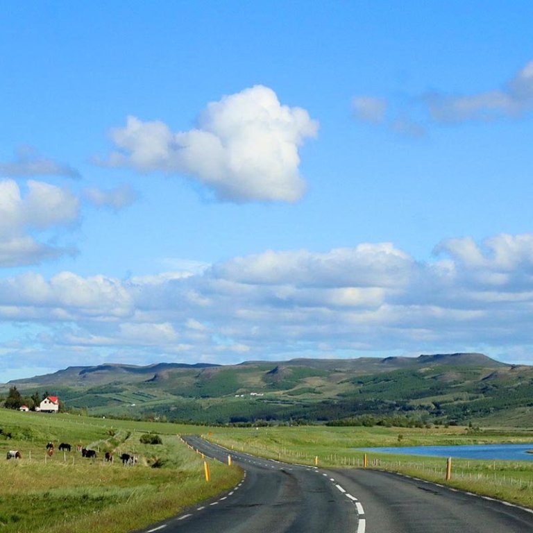 Vegurinn um Langadal. Njáll Trausti og Ásmundur segja kaflann frá Blönduósi og um norðanverðan Langadal vera mjóan og hlykkjóttan og einn hættulegasta vegarkaflann milli Reykjavíkur og Akureyrir. MYND: ÓAB