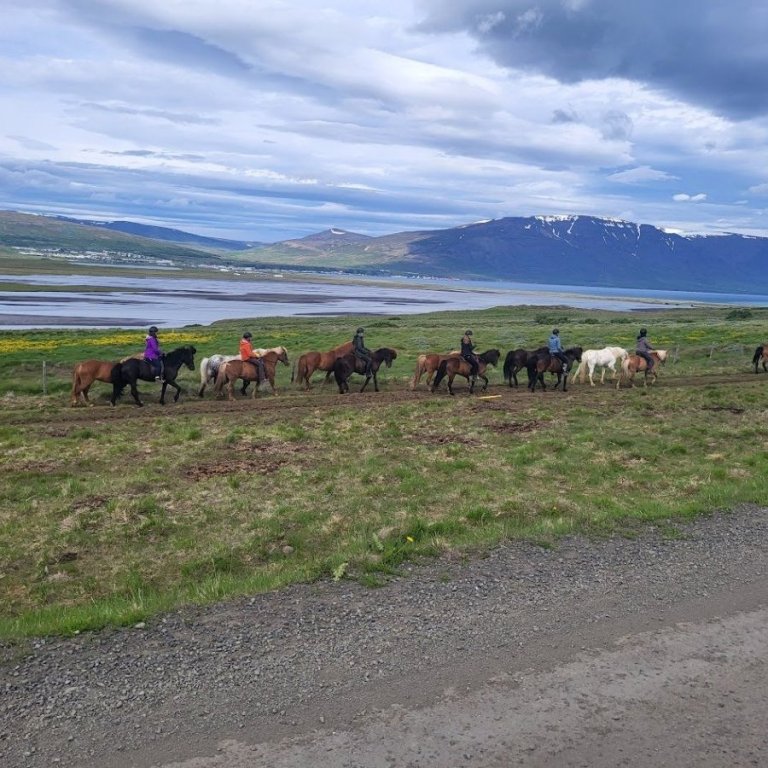 mynd tekin af heimasíðu ssnv.is.