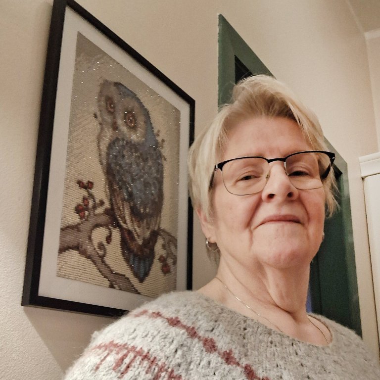 Jónína í peysunni sem hún var að enda við að
prjóna á sig og bak við hana er steinamynd
sem hún gerði af uppáhalds fuglinum sínum.