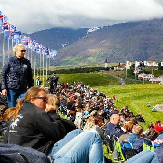 Áhorfendabrekkan á Hólum á Landsmóti 2016. Mynd:óab.