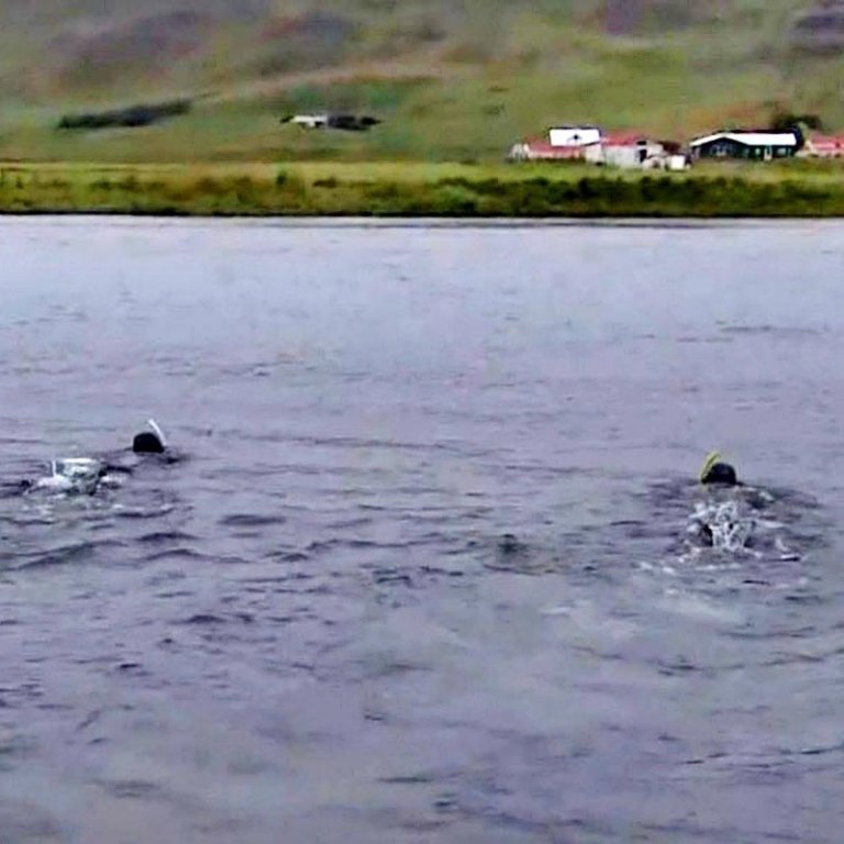 Kafarar að störfum í húnvetnskum ám við leit að eldislaxi. SKJÁSKOT AF RÚV.IS