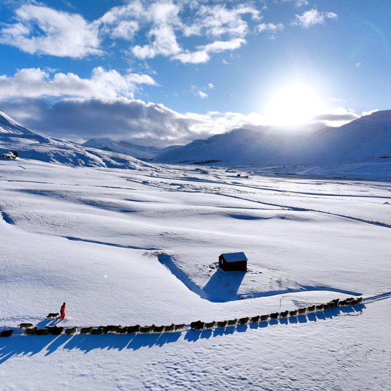 Bláhvít vetrarslæða yfir Fljótunum. Myndin er tekin fyrir ofan bæinn Stóra-Holt þegar síðustu ærnar ofan úr Holtsdal voru sóttar. Til vinstri   glittir í hlíðar Hólafjalls en Brekkufjall gnæfir yfir á hægri hönd. Fyrir miðri mynd í fjarska er Hamarshyrna í Stíflu.– Það má reikna með að snjórinn sé horfinn að mestu núna eftir rigningu um síðustu helgi.   MYND : HALLDÓR GUNNAR