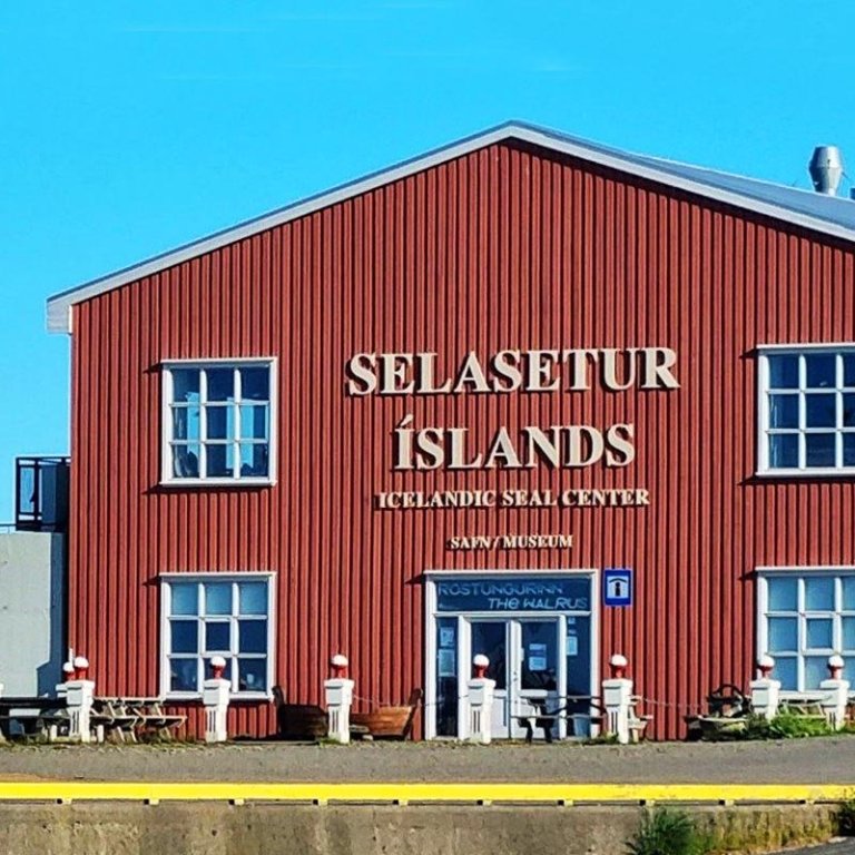 Selasetur Íslands á Hvammstanga. MYND AF NETINU