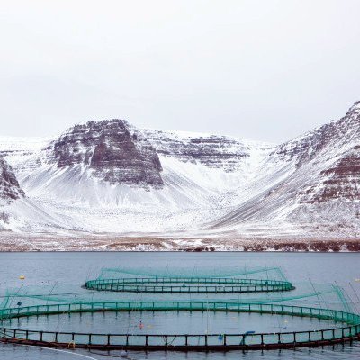 Sjókvíar í Arnarfirði. Mynd: arnarlax.is