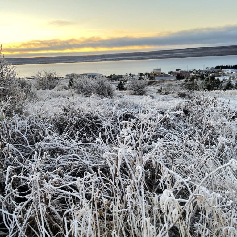 Mynd tekin af vef Húnaþings.