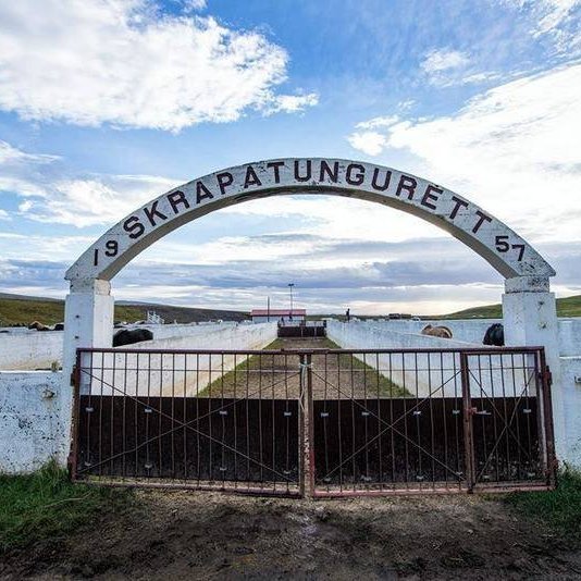 Skrapatungurétt. Mynd: Aðsend.