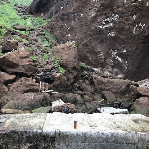 Ekkert er nánast eftir af göngupöllunum sem láu frá bryggjunni. AÐSENDAR MYNDIR