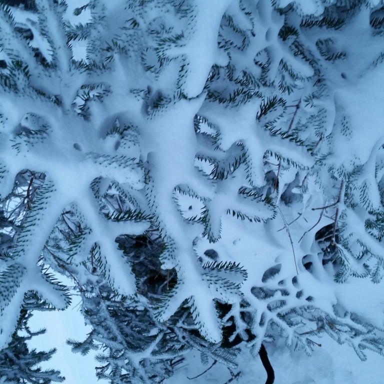 Fjölbreytt aðventudagskrá í Skagafirði