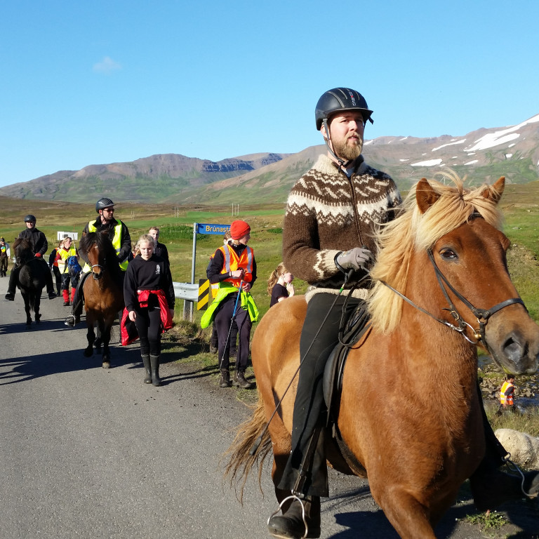 Frá göngum í Fljótum í fyrrahaust. Mynd: KSE