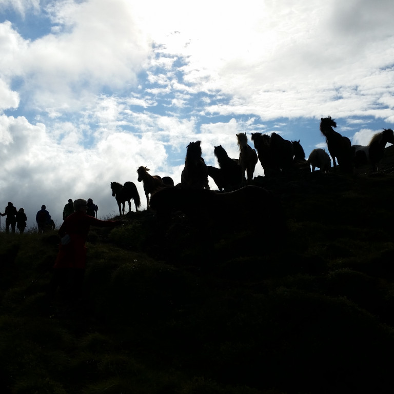 Úr gönguferð Ferðafélags Skagafjarðar í Trölla í sumar. Mynd: KSE
