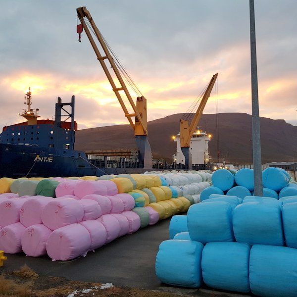 MV Antje við Sauðárkrókshöfn. Mynd: PF.