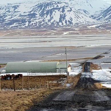Horft eftir heimreiðinni að Jaðri og Húsabakkabæjunum, sem sjást í fjarska til vinstri og austur yfir Eylendið að Hegranesi. Mynd: PF.