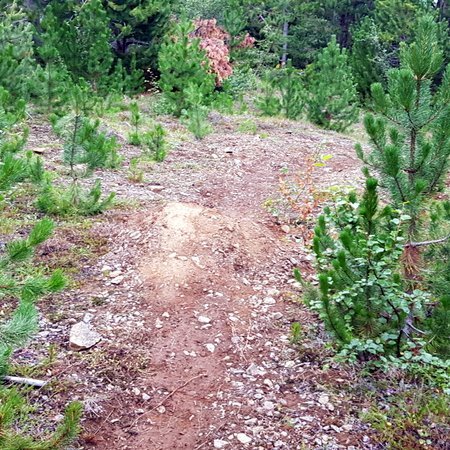 Hjólastígurinn í Skógarhlíðinni er sakleysislegur að sjá við fyrstu sýn en þegar ofar var komið var annað uppi á teningnum eins og sjá má á meðfylgjandi myndum. Myndir: PF.
