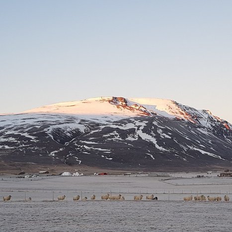 Samkvæmt Aðalskipulagi Sveitarfélagsins Skagafjarðar 2020-2035 er gert ráð fyrir svæði fyrir golfvöll sem nú er nýtt undir frístundabúskap á Nöfum. Vinstra megin við rúllustæðuna má sjá golfskálann á Hlíðarendavelli. Mynd: PF.