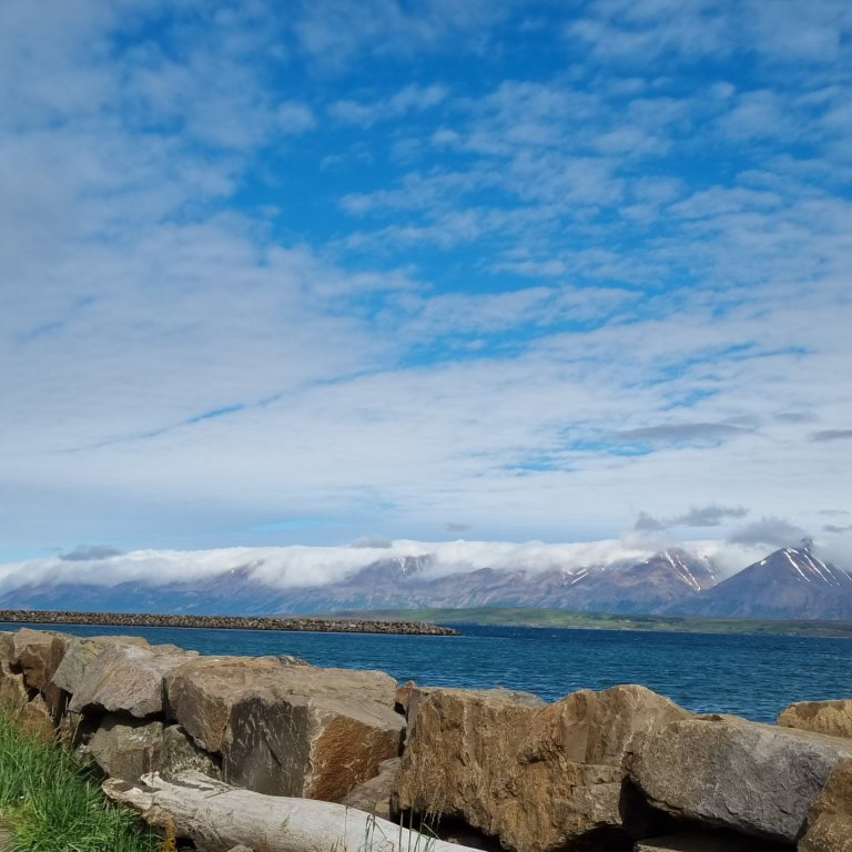 Mynd. Bjór. (En ekki hvað?)