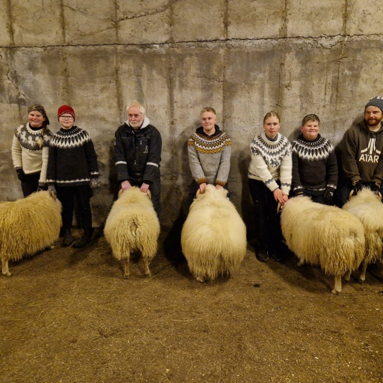 Efstu fimm í flokknum Hvítir hyrndir: Salka Kristín Ólafsdóttir, Sveinn Óli Þorgilsson, Magnús Jósefsson, Steindór Már Ólafsson, Jóhanna María Einarsdóttir, Magnús Ólafsson og Pálmi Gunnarsson. MYNDIR AÐSENDAR.